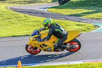 Middle Group Yellow Bikes